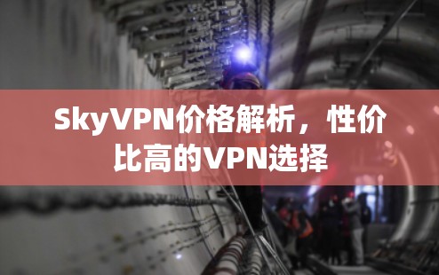 SkyVPN价格解析,性价比高的VPN选择