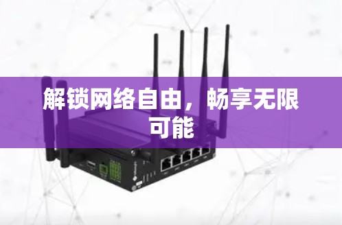 解锁网络自由,畅享无限可能 解锁网络自由,畅享无限可能