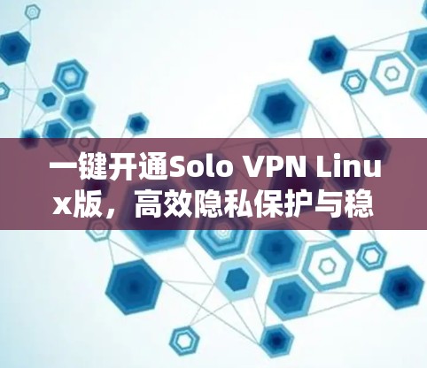 一键开通Solo VPN Linux版,高效隐私保护与稳定连接