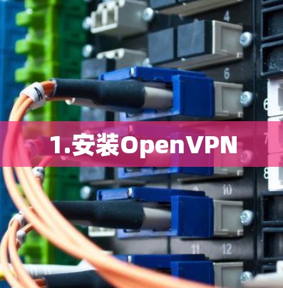 1.安装OpenVPN 1.安装OpenVPN
