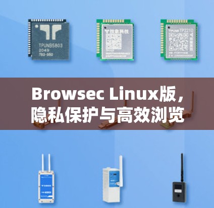 Browsec Linux版,隐私保护与高效浏览的双重保障 Browsec Linux版,隐私保护与高效浏览的双重保障