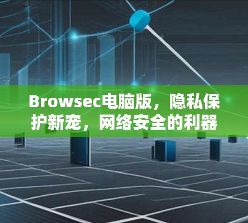 Browsec电脑版,隐私保护新宠,网络安全的利器 Browsec电脑版,隐私保护新宠,网络安全的利器