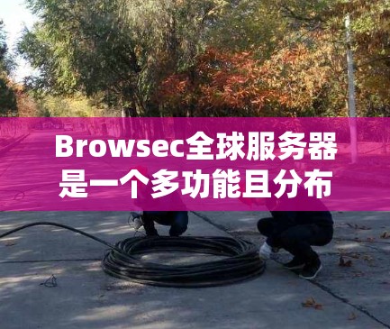 Browsec全球服务器是一个多功能且分布广泛的网络解决方案,旨在为用户提供高度安全的隐私保护。以下是对Browsec全球服务器的详细分析和总结 Browsec全球服务器是一个多功能且分布广泛的网络解决方案,旨在为用户提供高度安全的隐私保护。以下是对Browsec全球服务器的详细分析和总结
