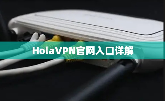 HolaVPN官网入口详解