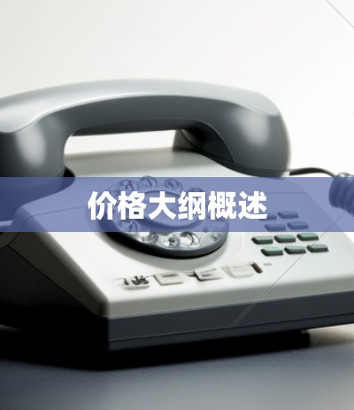 价格大纲概述