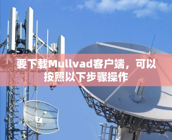 要下载Mullvad客户端,可以按照以下步骤操作 要下载Mullvad客户端,可以按照以下步骤操作
