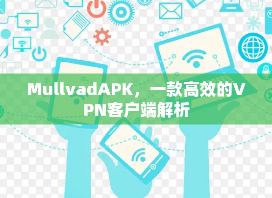 MullvadAPK,一款高效的VPN客户端解析 MullvadAPK,一款高效的VPN客户端解析