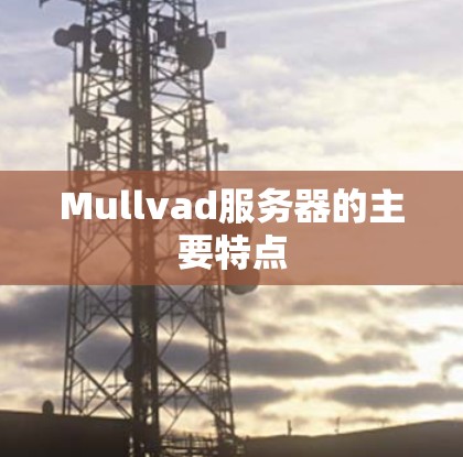 Mullvad服务器的主要特点 Mullvad服务器的主要特点