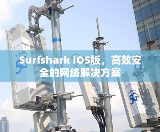 Surfshark iOS版,高效安全的网络解决方案 Surfshark iOS版,高效安全的网络解决方案