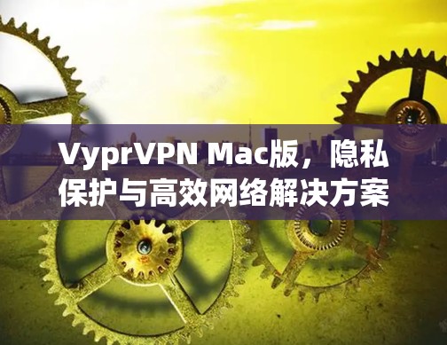 VyprVPN Mac版，隐私保护与高效网络解决方案