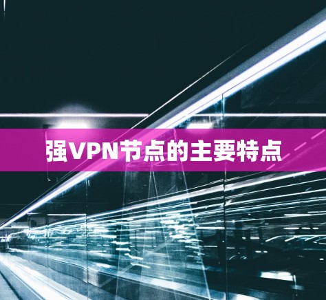 强VPN节点的主要特点