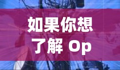 如果你想了解 Opera VPN 的优惠信息，可以通过以下途径获取