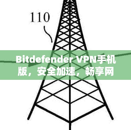 Bitdefender VPN手机版，安全加速，畅享网络