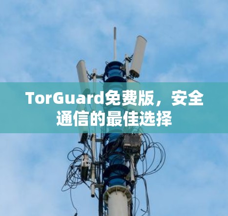 TorGuard免费版,安全通信的最佳选择 TorGuard免费版,安全通信的最佳选择