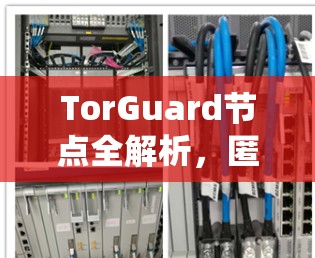 TorGuard节点全解析,匿名网络的核心支撑系统 TorGuard节点全解析,匿名网络的核心支撑系统