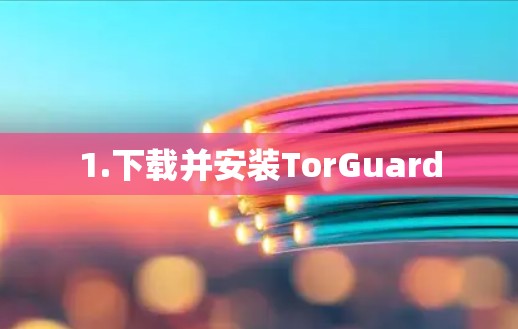 1.下载并安装TorGuard