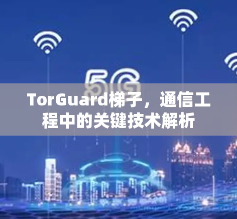 TorGuard梯子,通信工程中的关键技术解析 TorGuard梯子,通信工程中的关键技术解析