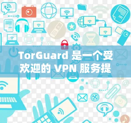 TorGuard 是一个受欢迎的 VPN 服务提供商，专注于提供匿名网络和安全保护。以下是对 TorGuard 的推荐和评估