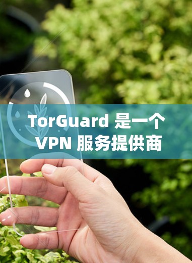 TorGuard 是一个 VPN 服务提供商，用户可以通过他们的官方网站或客户端进行更新以获取最新的软件和安全 patches