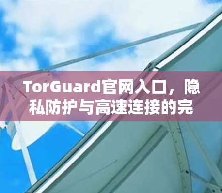 TorGuard官网入口，隐私防护与高速连接的完美结合