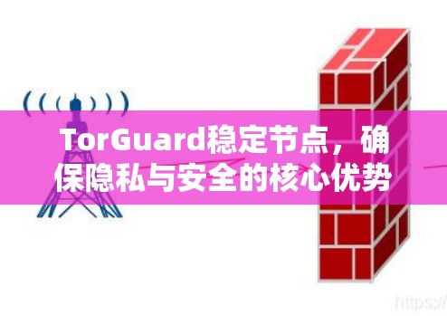 TorGuard稳定节点，确保隐私与安全的核心优势