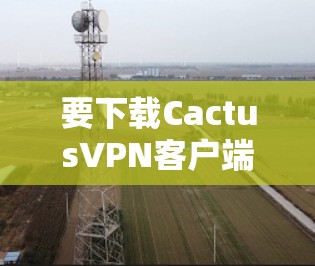 要下载CactusVPN客户端，可以按照以下步骤操作