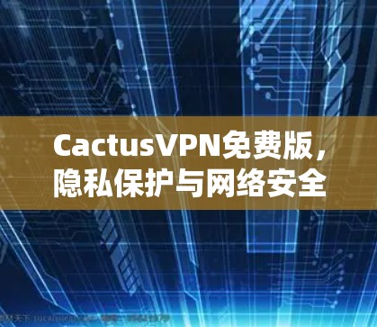 CactusVPN免费版,隐私保护与网络安全的双重保障