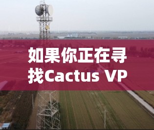 如果你正在寻找Cactus VPN的Mac版，以下是一些建议和可能的解决方法