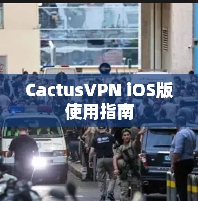 CactusVPN iOS版使用指南 CactusVPN iOS版使用指南