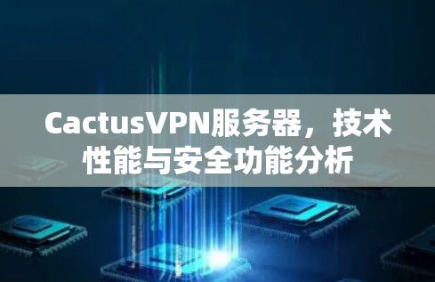 CactusVPN服务器,技术性能与安全功能分析 CactusVPN服务器,技术性能与安全功能分析