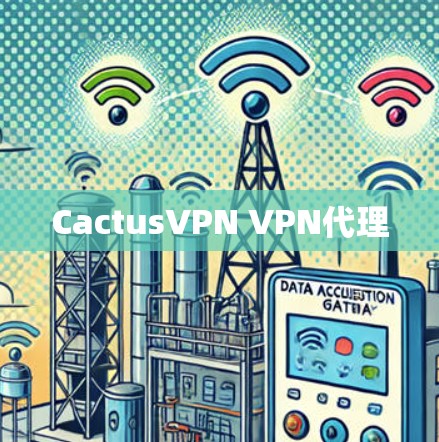 CactusVPN VPN代理 CactusVPN VPN代理