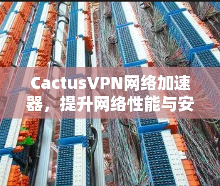 CactusVPN网络加速器,提升网络性能与安全防护 CactusVPN网络加速器,提升网络性能与安全防护