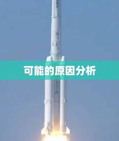 可能的原因分析 可能的原因分析