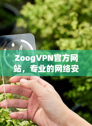 ZoogVPN官方网站，专业的网络安全解决方案