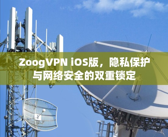 ZoogVPN iOS版，隐私保护与网络安全的双重锁定