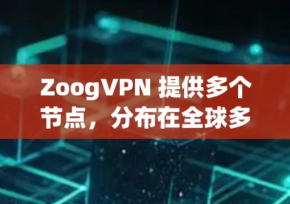 ZoogVPN 提供多个节点，分布在全球多个国家和地区，以满足用户的多样化需求。以下是关于 ZoogVPN 节点的详细分析