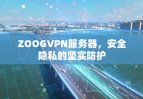 ZOOGVPN服务器,安全隐私的坚实防护 ZOOGVPN服务器,安全隐私的坚实防护