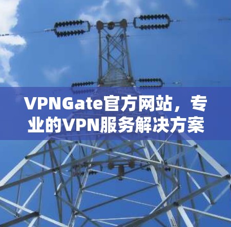 VPNGate官方网站，专业的VPN服务解决方案