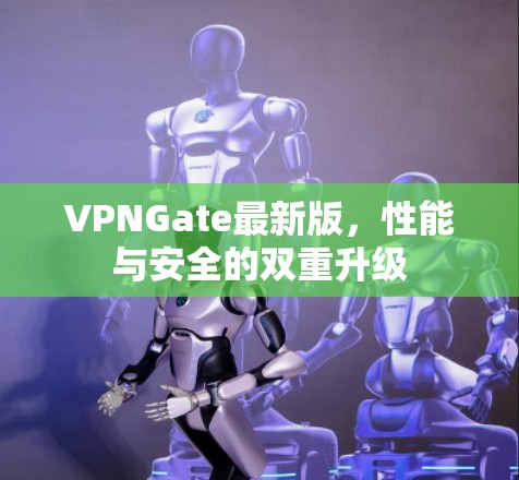 VPNGate最新版,性能与安全的双重升级 VPNGate最新版,性能与安全的双重升级