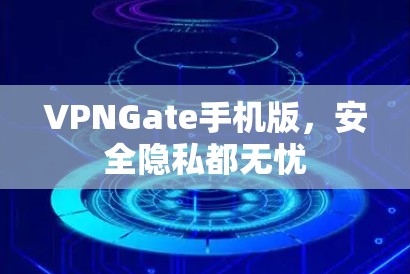 VPNGate手机版,安全隐私都无忧 VPNGate手机版,安全隐私都无忧