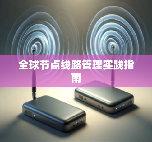 全球节点线路管理实践指南