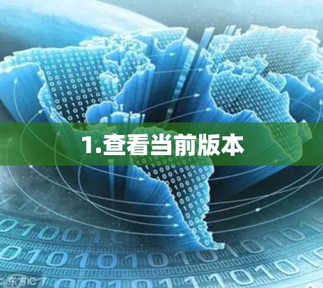 1.查看当前版本