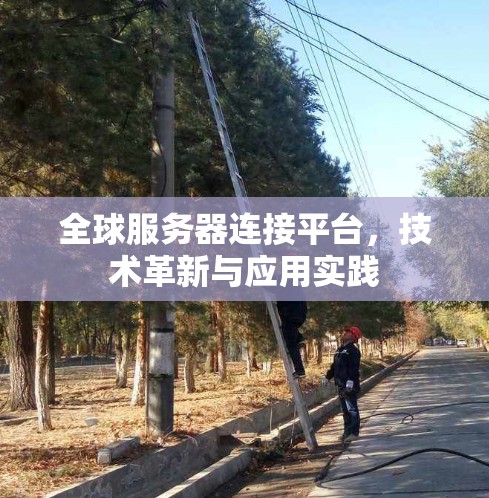 全球服务器连接平台,技术革新与应用实践 全球服务器连接平台,技术革新与应用实践