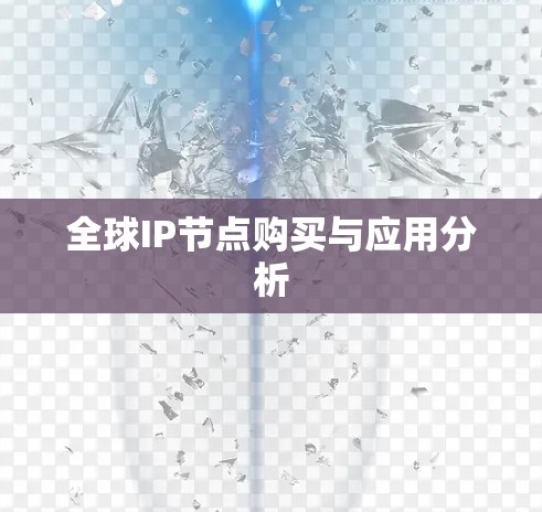 全球IP节点购买与应用分析