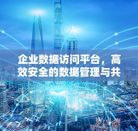 企业数据访问平台,高效安全的数据管理与共享解决方案