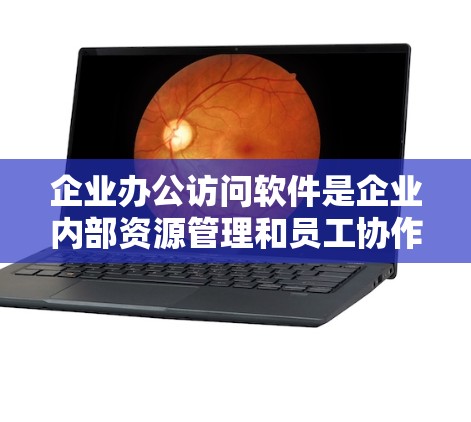 企业办公访问软件是企业内部资源管理和员工协作的关键工具,帮助确保数据安全和提高工作效率。以下是对企业办公访问软件的详细分析和选择指南 企业办公访问软件是企业内部资源管理和员工协作的关键工具,帮助确保数据安全和提高工作效率。以下是对企业办公访问软件的详细分析和选择指南