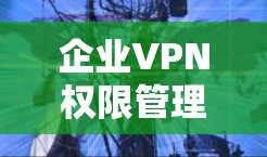 企业VPN权限管理是为了确保只有授权用户能够访问公司内部网络或资源,以下是账号配置方法的主要步骤和注意事项 企业VPN权限管理是为了确保只有授权用户能够访问公司内部网络或资源,以下是账号配置方法的主要步骤和注意事项