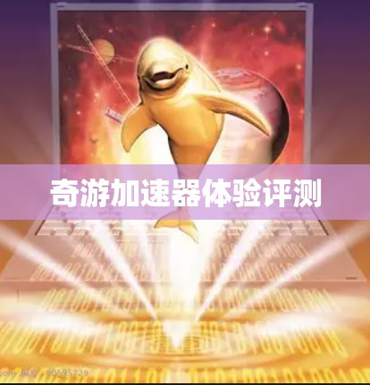 奇游加速器体验评测