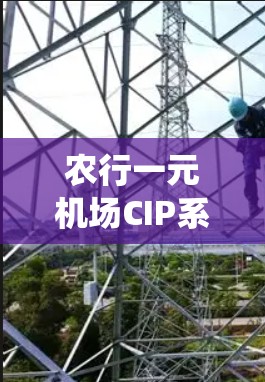 农行一元机场CIP系统设计与实现 农行一元机场CIP系统设计与实现