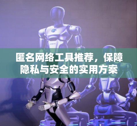 匿名网络工具推荐,保障隐私与安全的实用方案 匿名网络工具推荐,保障隐私与安全的实用方案